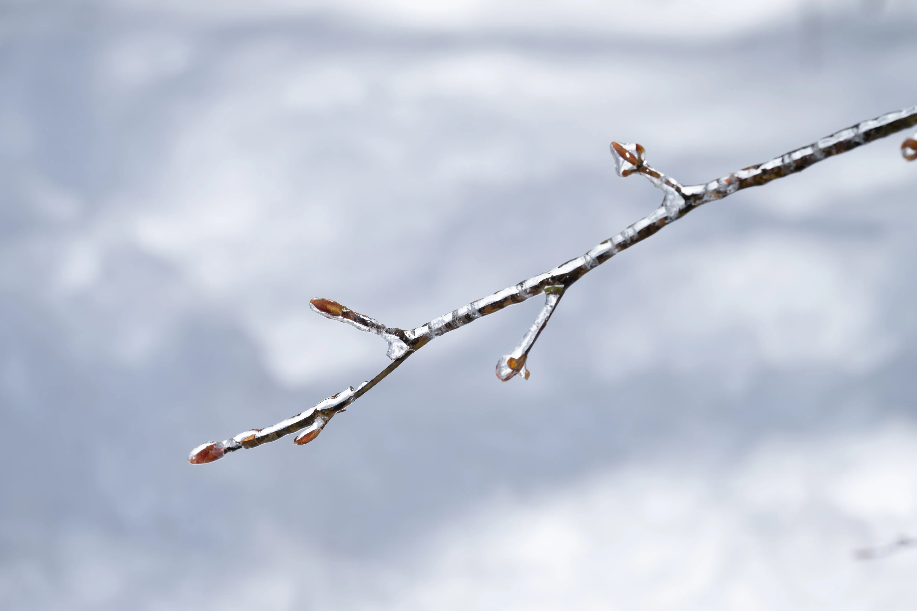 山岳写真 by TaQ INOUE